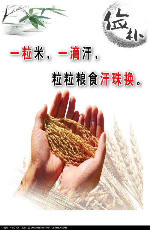 学士学位证书就是毕业证吗